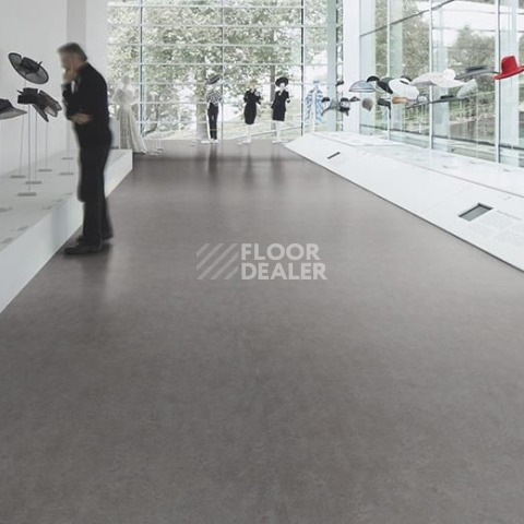Forbo Marmoleum Decibel on Order 313735 slate grey фото 2 | FLOORDEALER